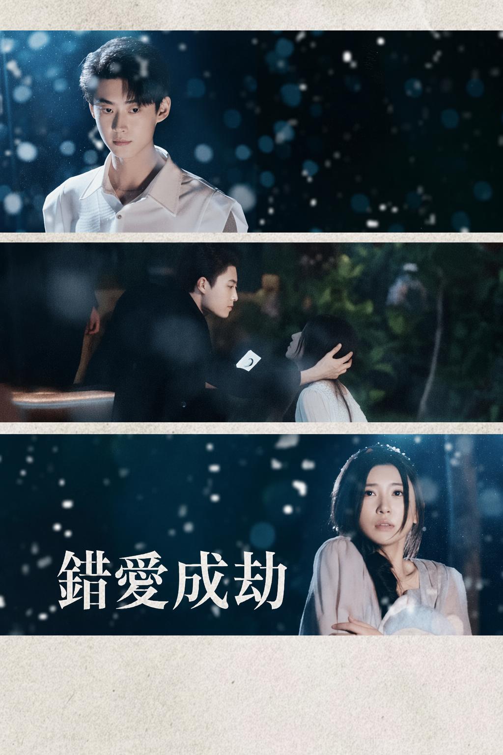 錯愛成劫