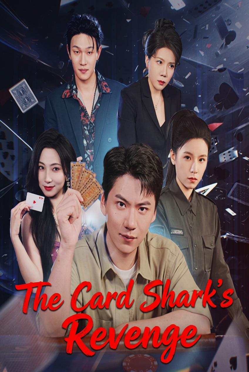 The Card Shark's Revenge