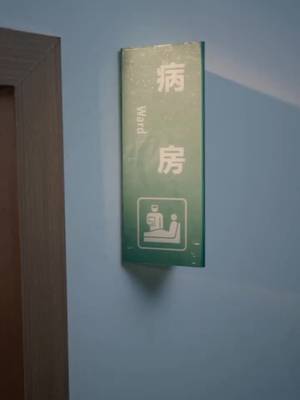 Первая любовь перерожденного магната