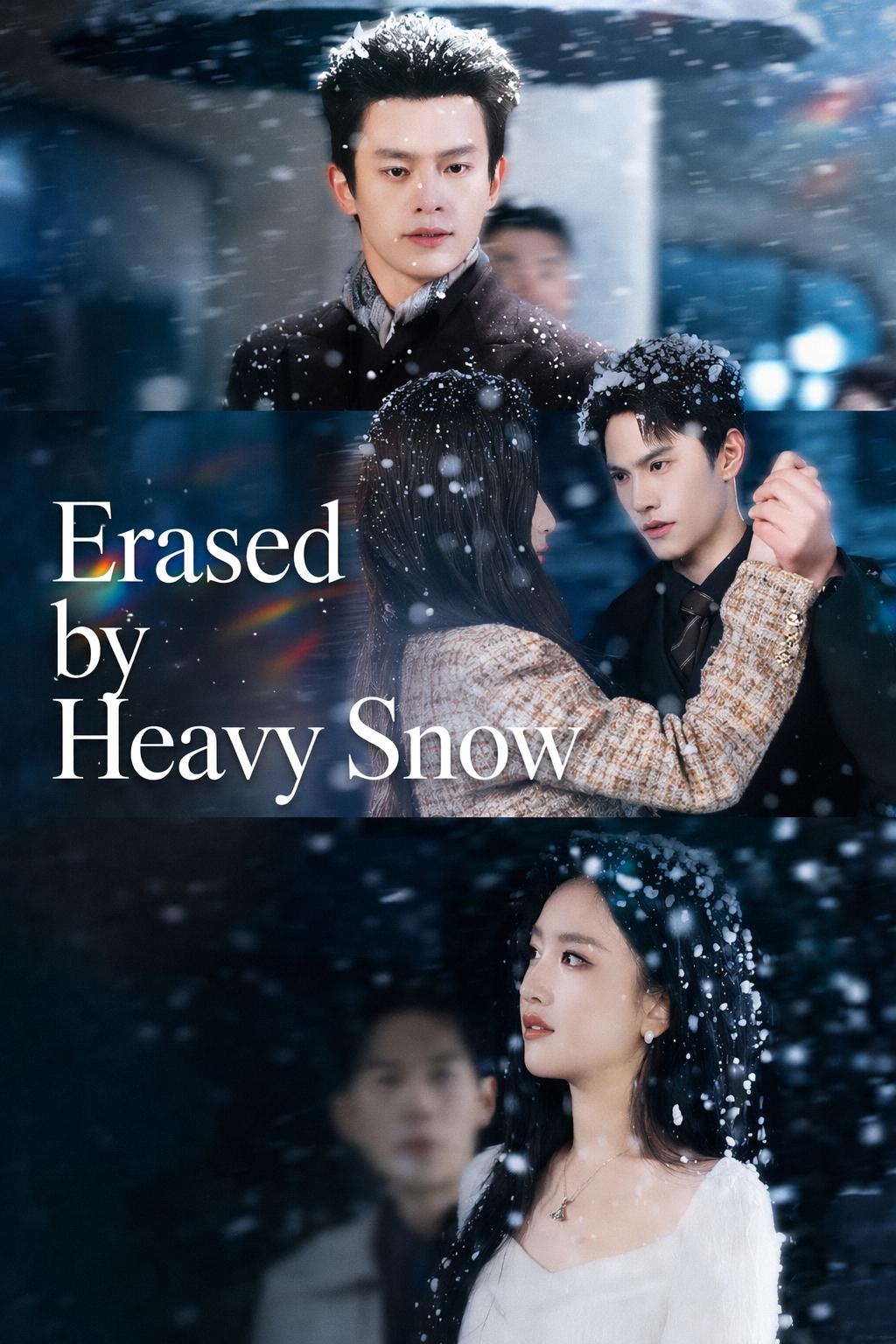 Erased by Heavy Snow