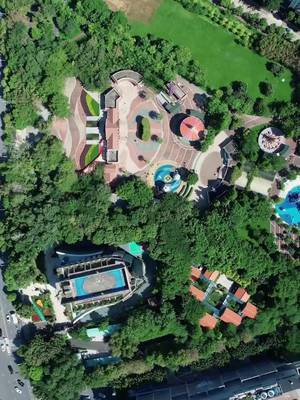 社長の後悔