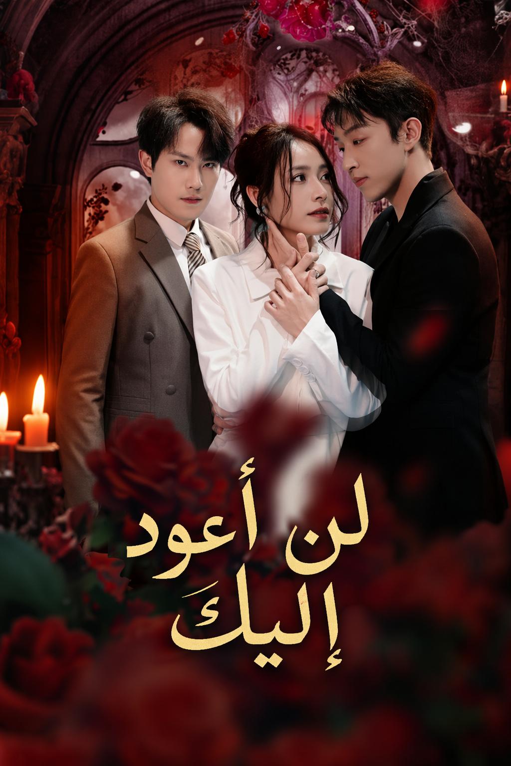 لن أعود إليك