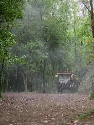 Nữ Trại Chủ Giả Làm Vương Phi