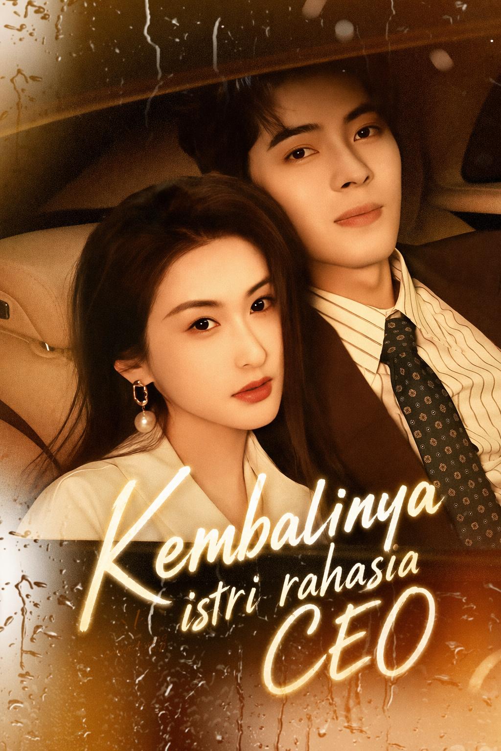 Kembalinya istri rahasia CEO