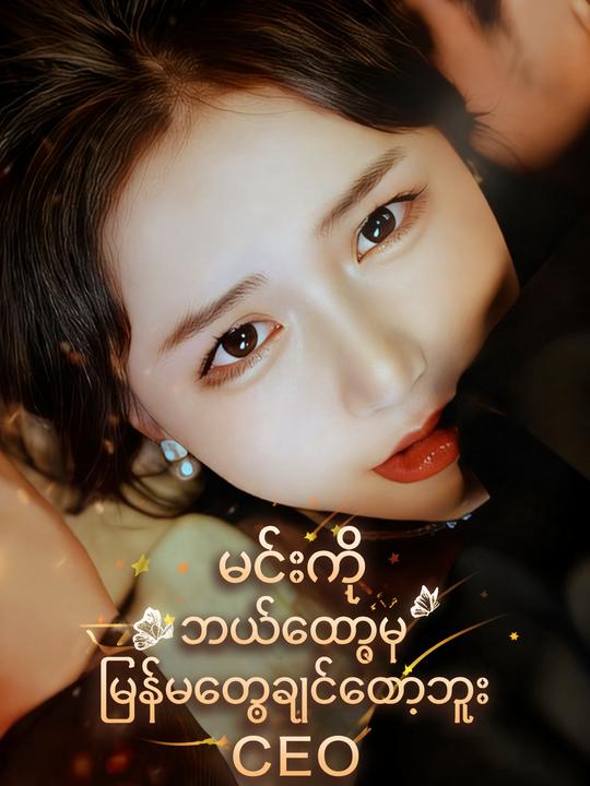 CEO မင်းကို ပြန်မတွေ့ချင်