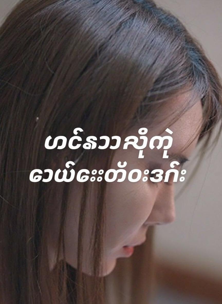 မစ္စတာရှီရဲ့ ကိုယ်စားထိုးဇနီး