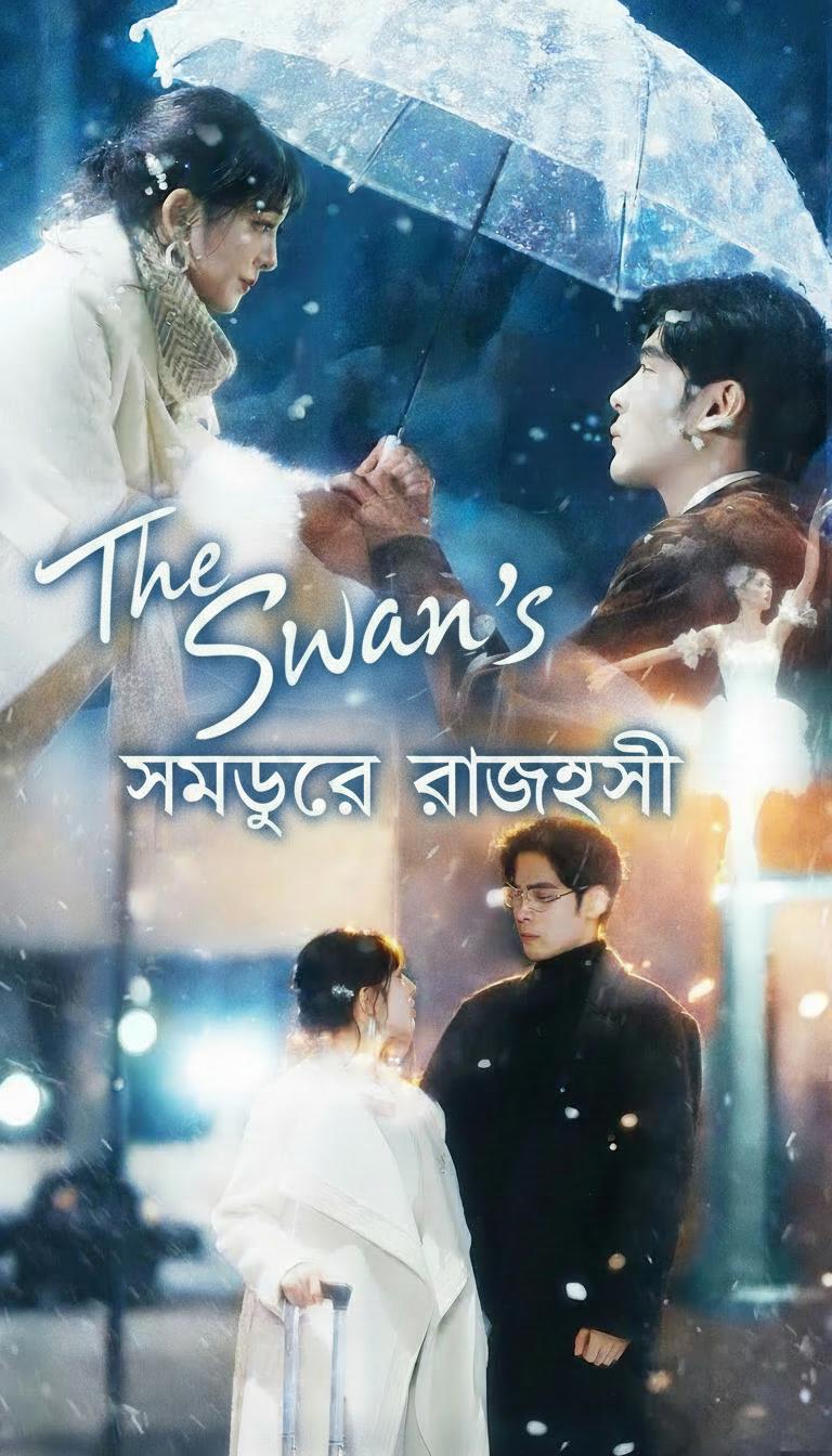 সমুদ্রের রাজহাঁস