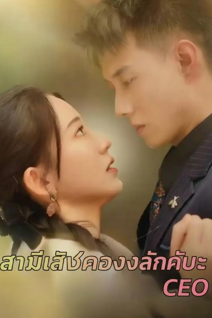 สามีลับของฉันคือ CEO
