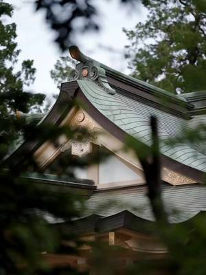 替え玉花嫁 極道の契り