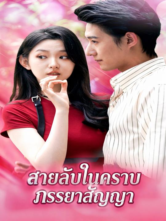 สายลับในคราบภรรยาสัญญา