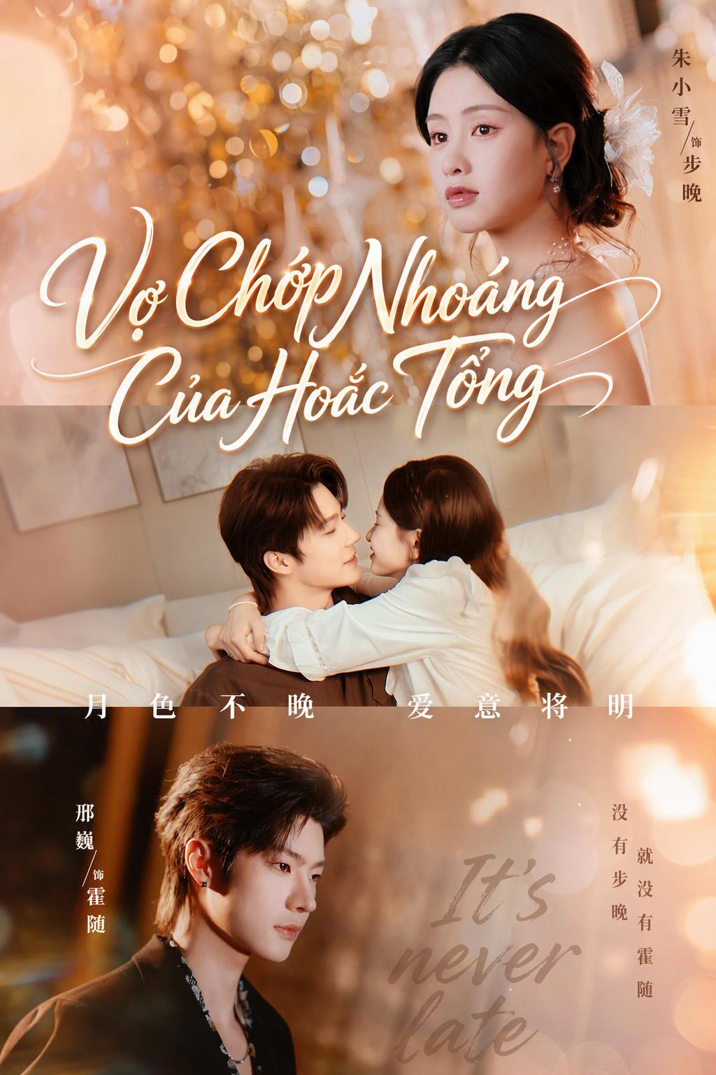 Vợ Chớp Nhoáng Của Hoắc Tổng