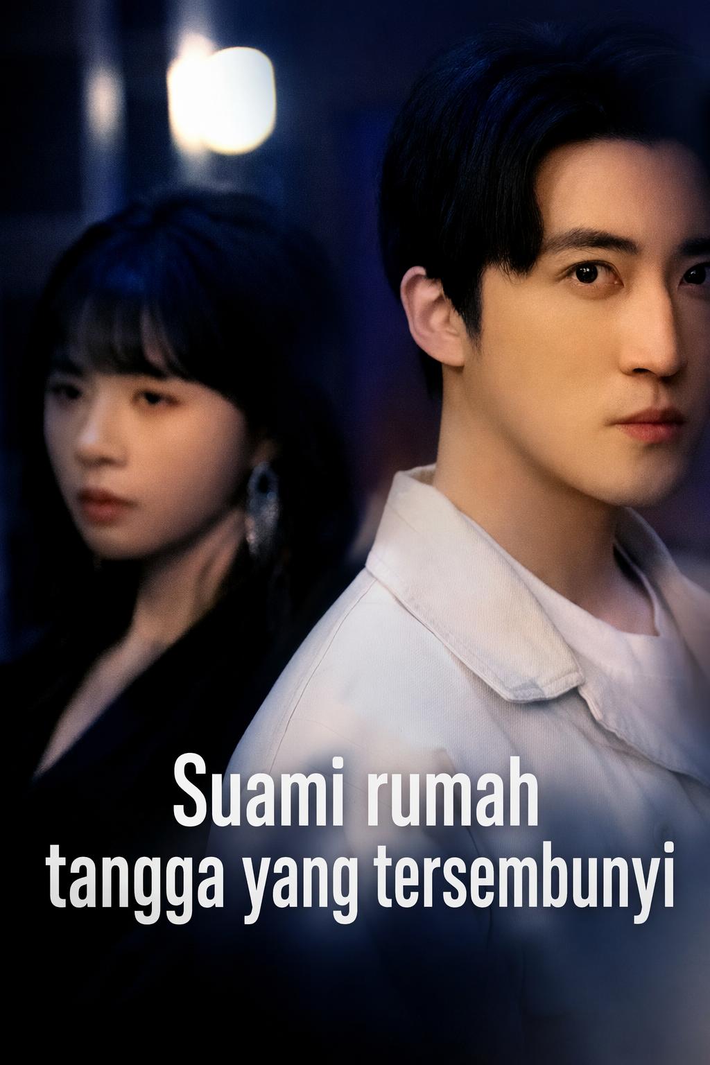 Suami Rumah Tangga Tersembunyi