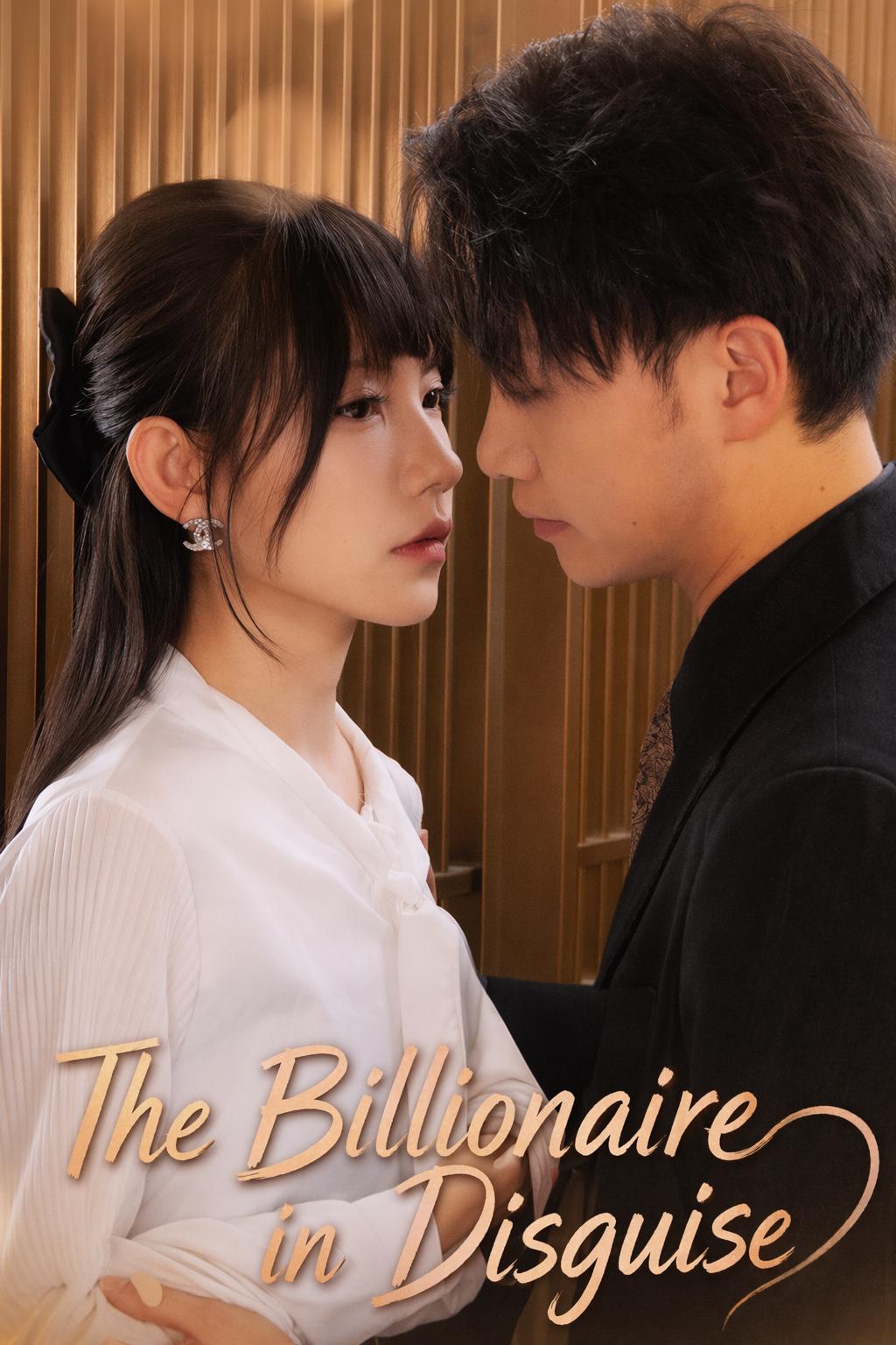 The Billionaire in Disguise