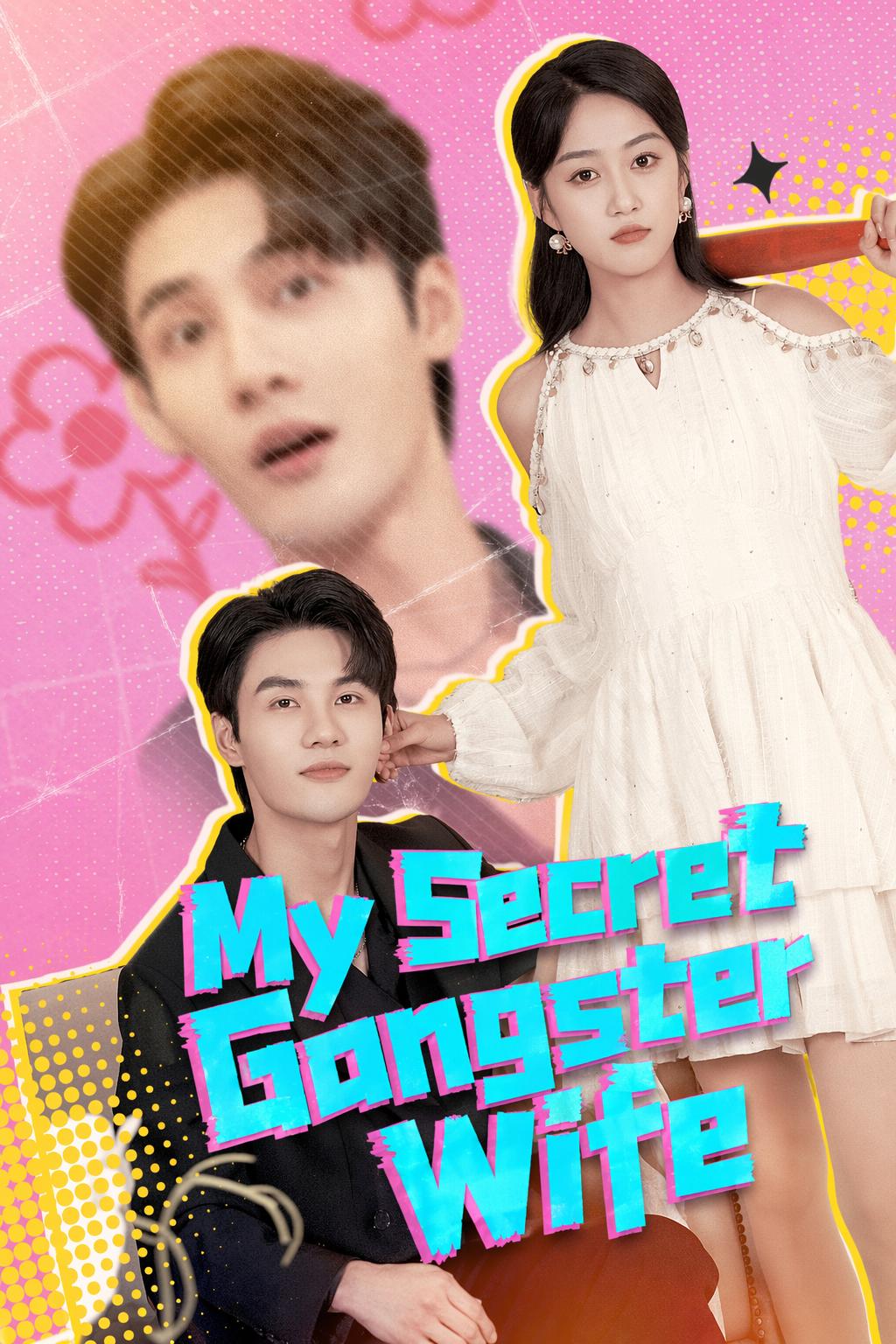 My Secret Gangster Wife