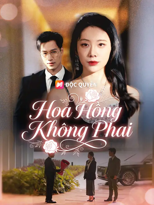 Hoa Hồng Không Phai