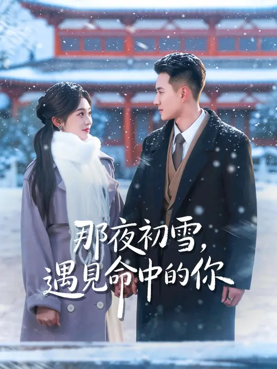 那夜初雪，遇見命中的你