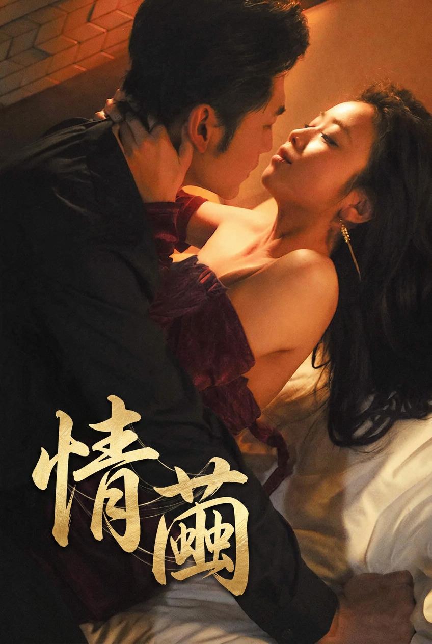 总裁的爱情契约