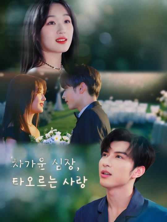 차가운 심장, 타오르는 사랑