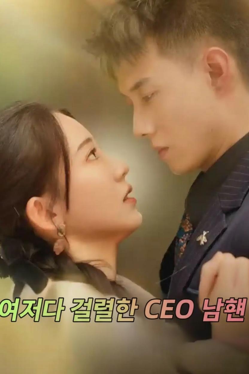 비밀 CEO 남편