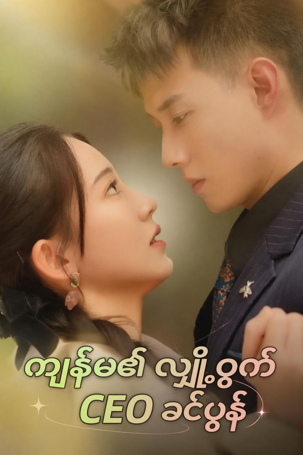 ကျွန်မ၏ လျှို့ဝှက် CEO ခင်ပွန်း