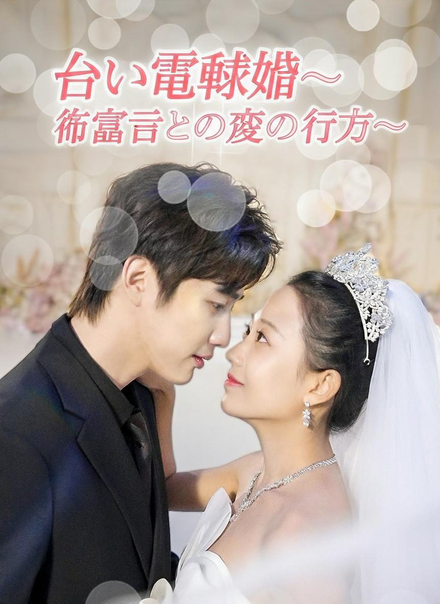 甘い電撃婚〜御曹司との恋の行方〜