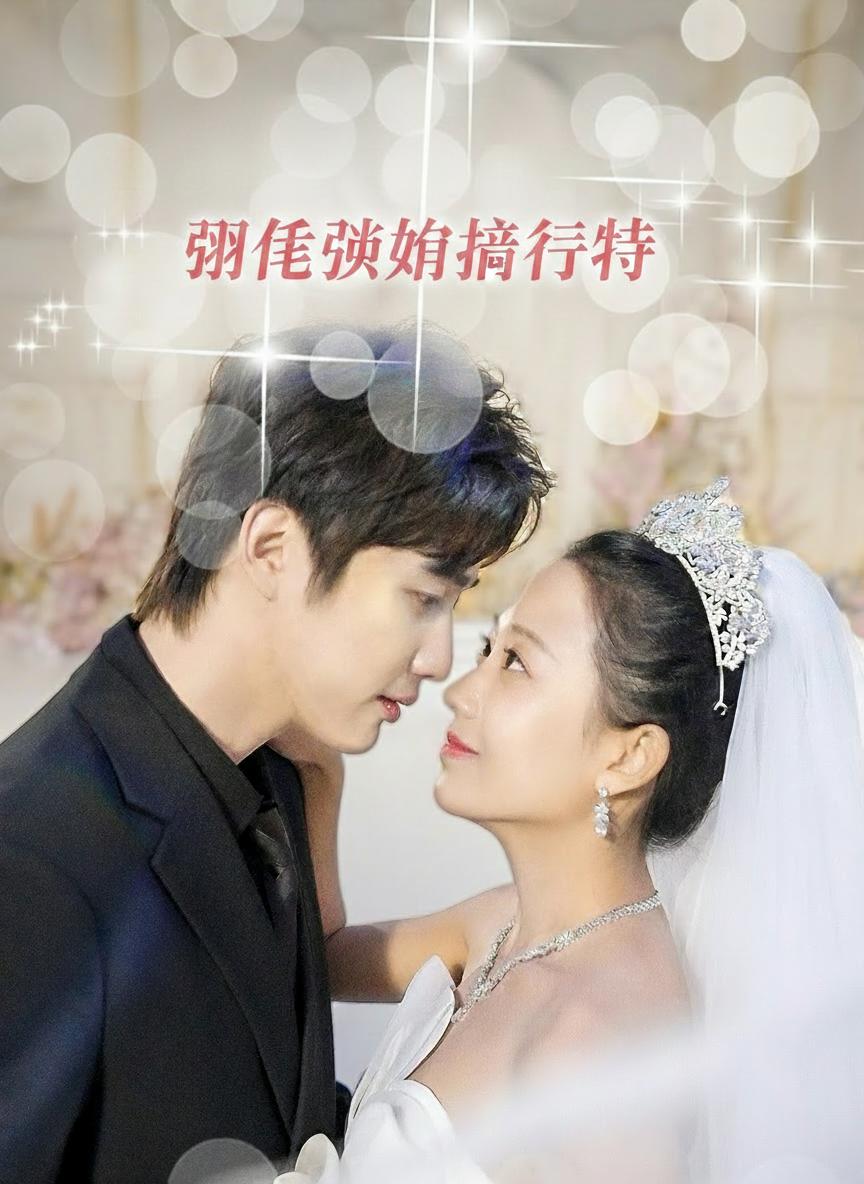 甜蜜閃婚進行時