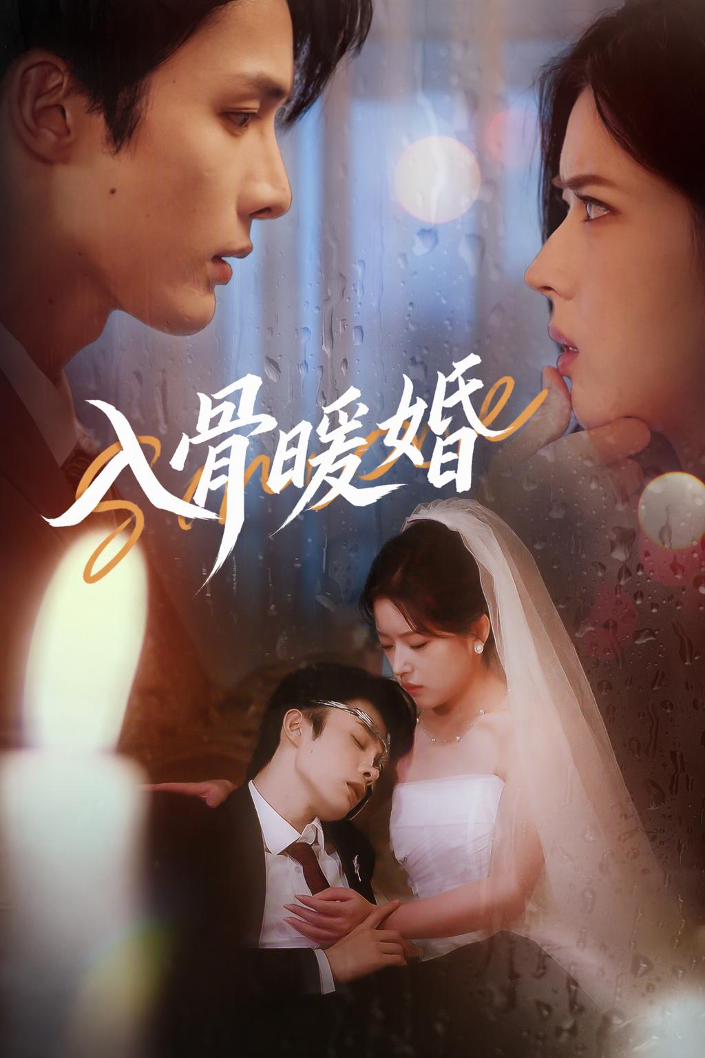 入骨暖婚