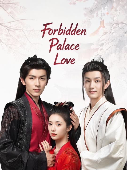 Forbidden Palace Love