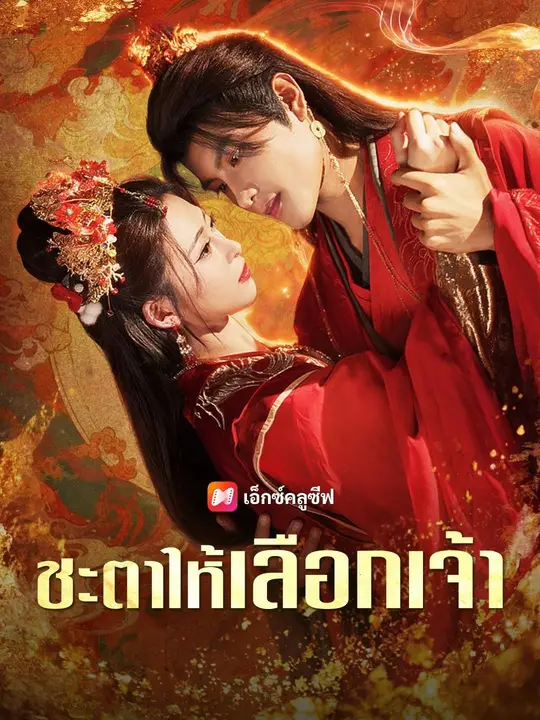 ชะตาให้เลือกเจ้า