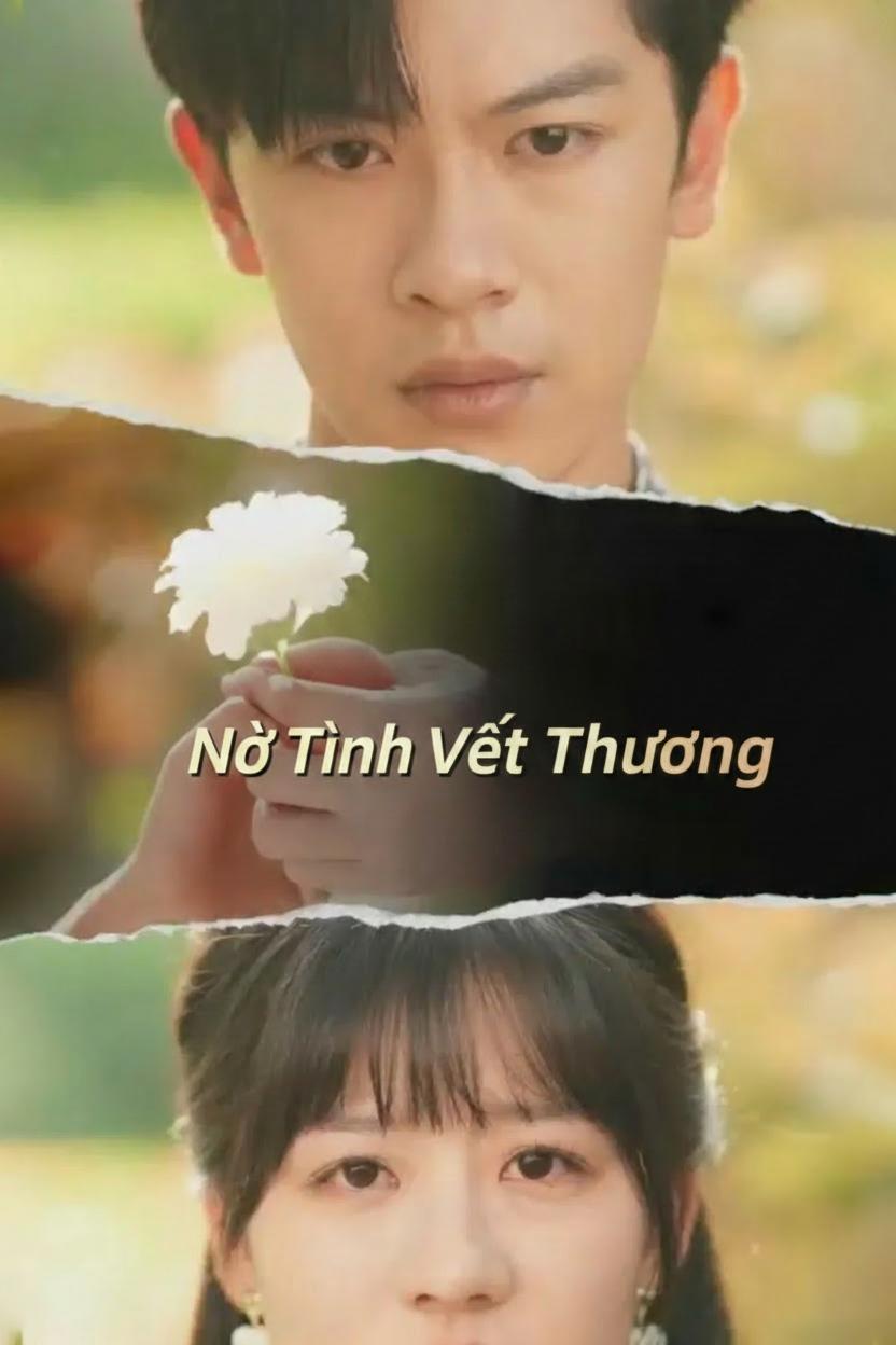 Nợ Tình Vết Thương
