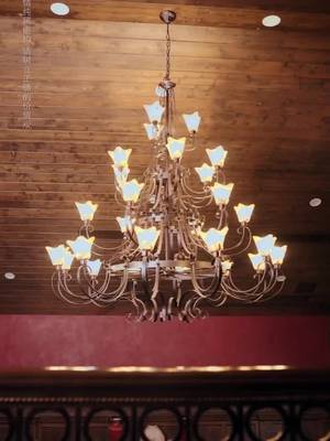 Phu Nhân Sát Thủ Của Tổng Tài