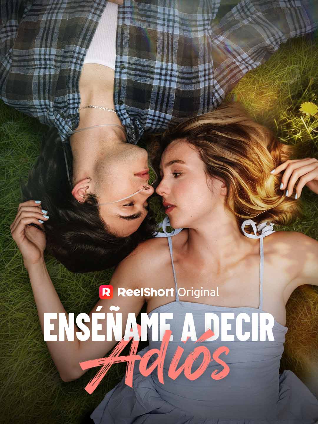 Enséñame a decir adiós