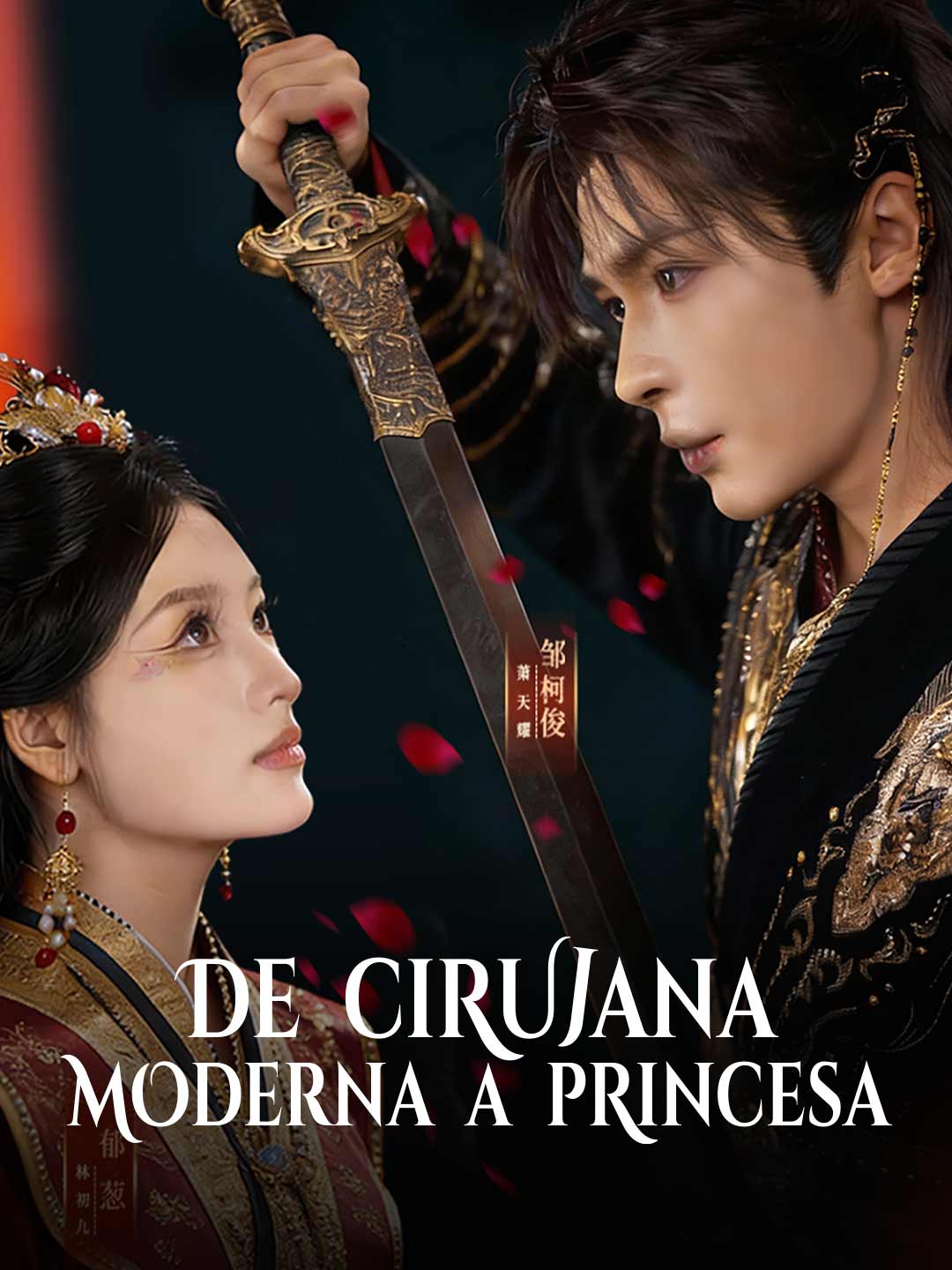 Modern Surgeon to Princess