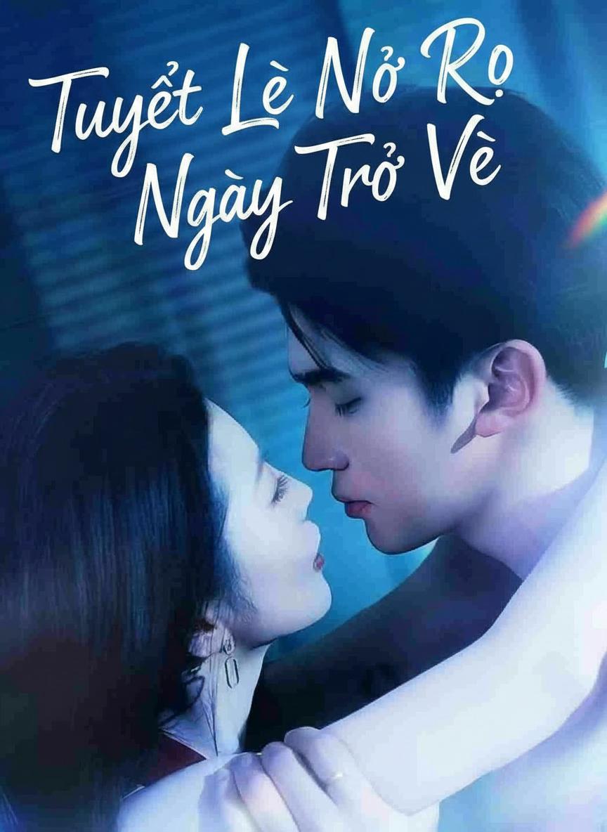 Tuyết Lê Nở Rộ Ngày Trở Về