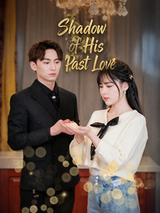 Shadow of His Past Love