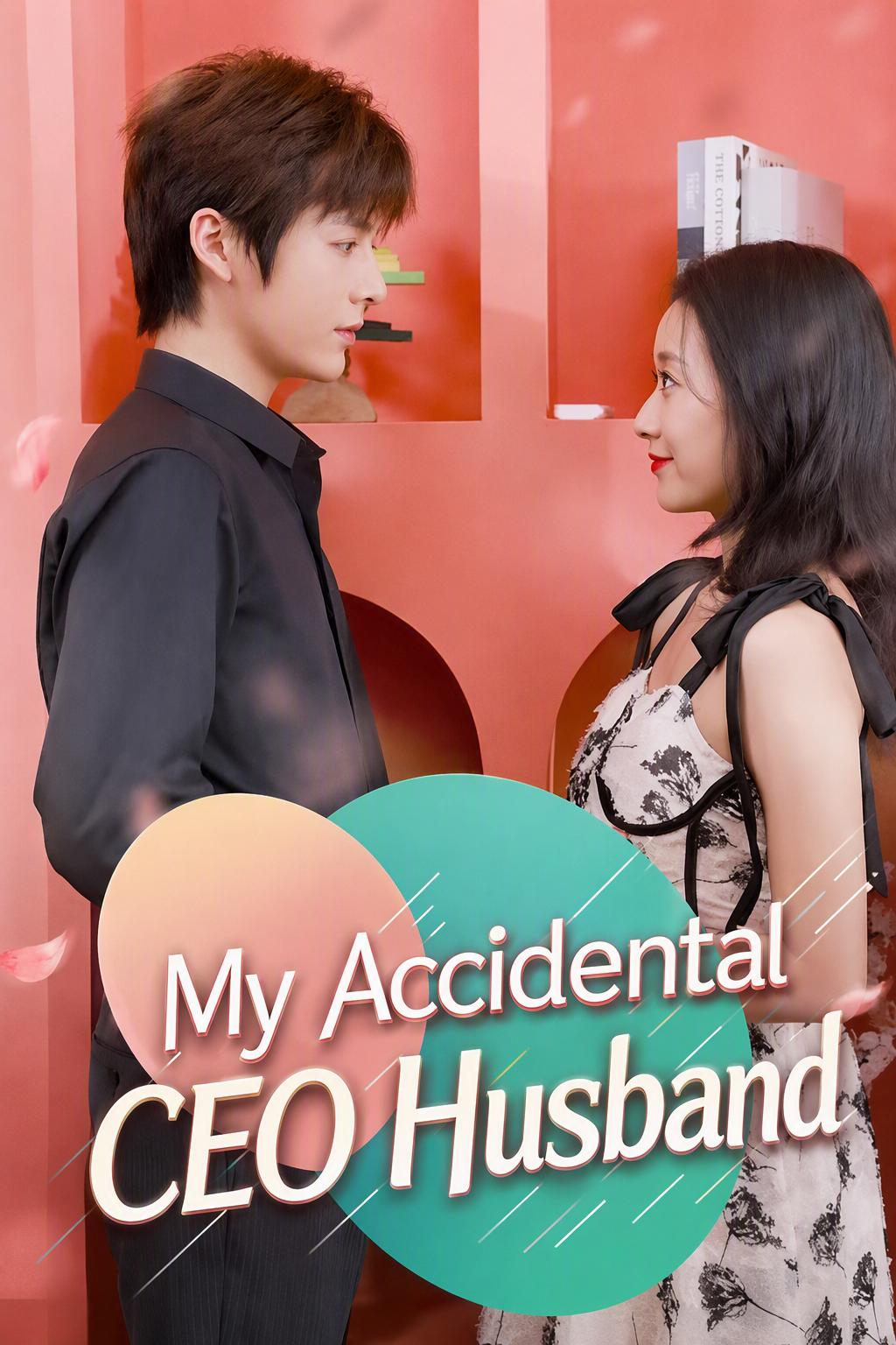 My Accidental CEO Husband