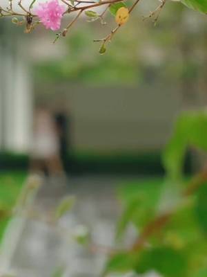 Quyến Rũ Vị Hôn Phu Của Em Gái
