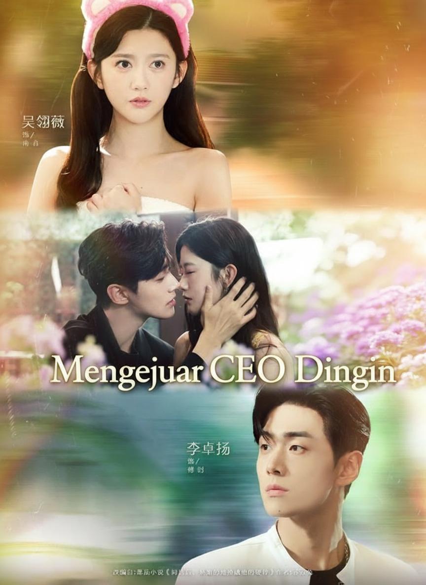 Mengejar CEO Dingin