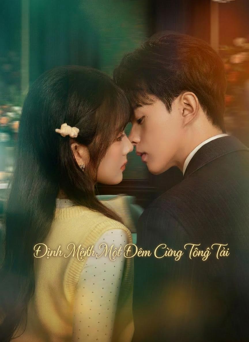 Định Mệnh Một Đêm Cùng Tổng Tài