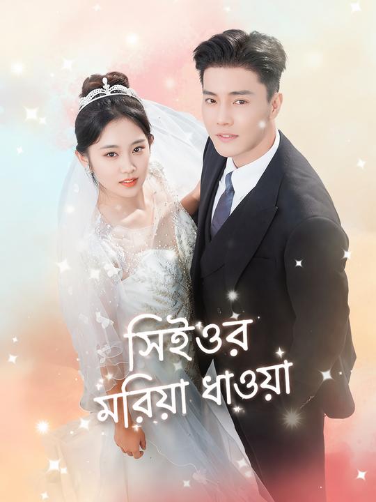 সিইওর মরিয়া ধাওয়া