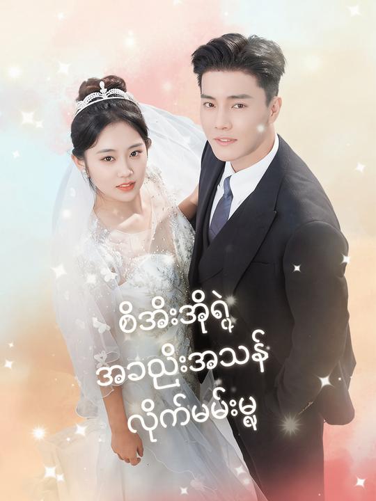 စီအီးအိုရဲ့ အသည်းအသန် လိုက်ဖမ်းမှု