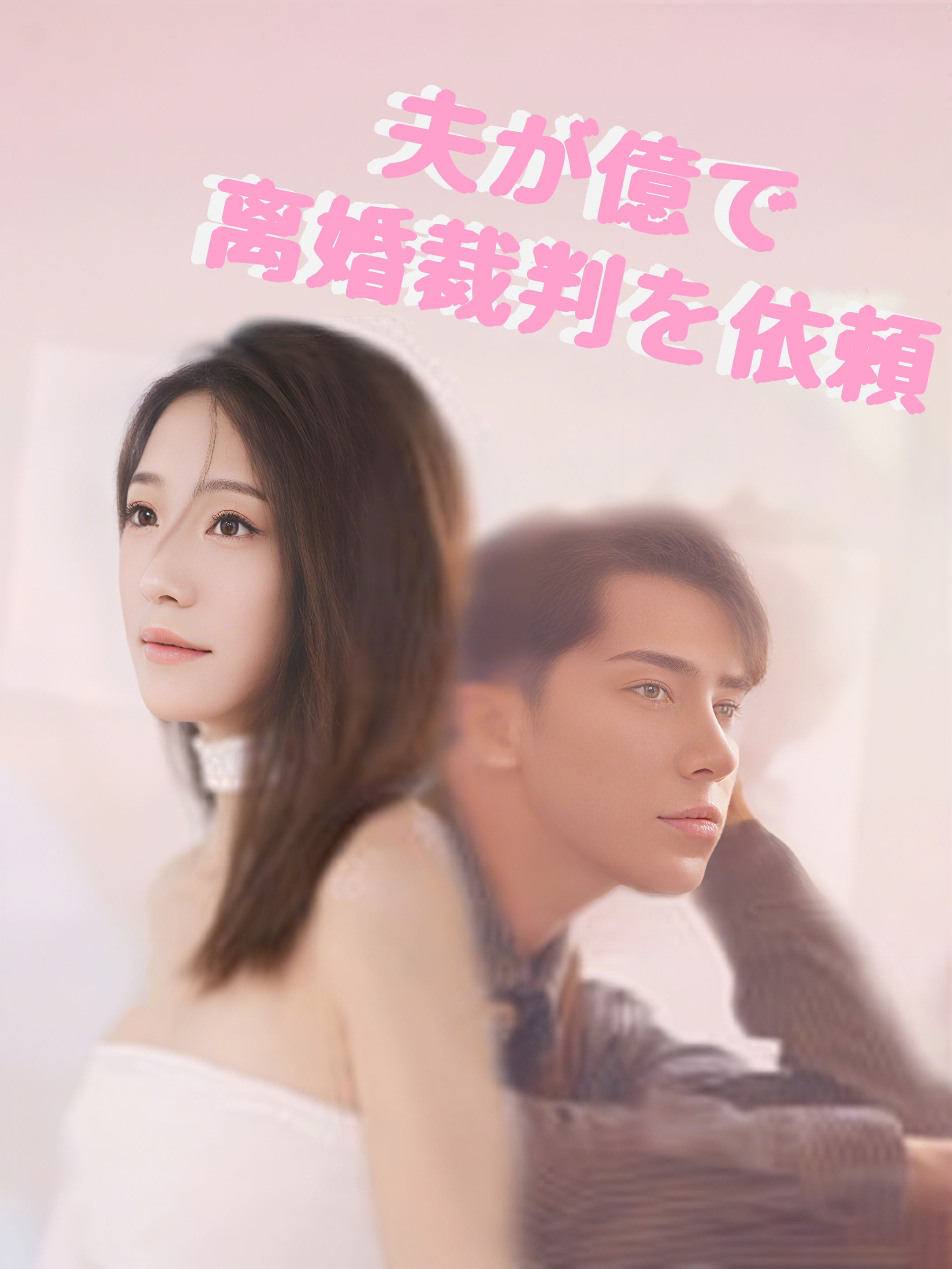 夫が億で离婚裁判を依頼