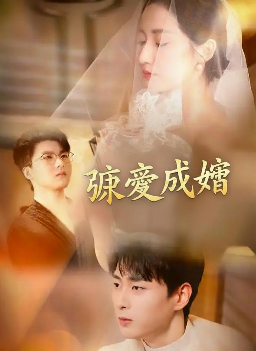 掠愛成婚