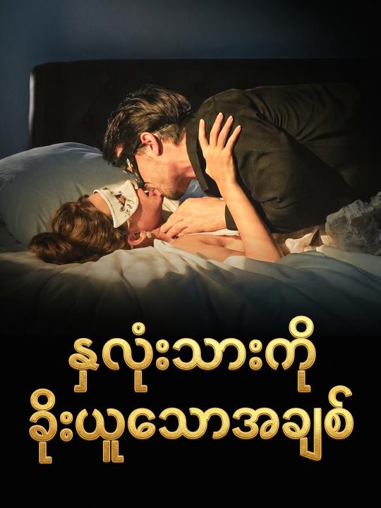 နှလုံးသားကိုခိုးယူသောအချစ်