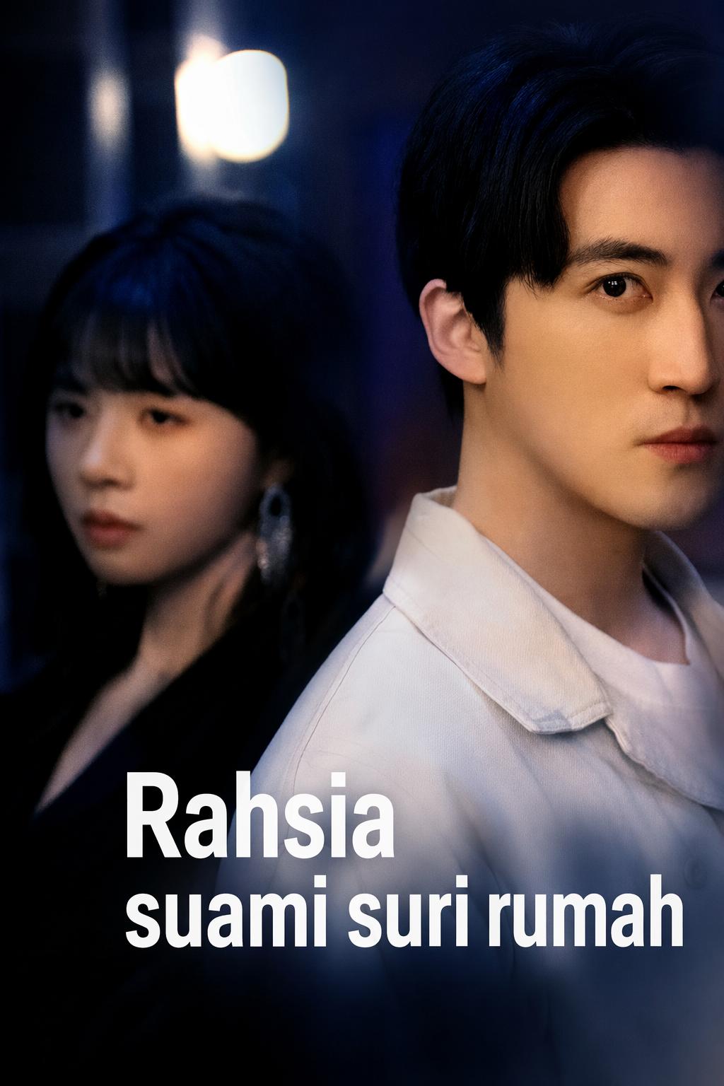 Rahsia suami suri rumah