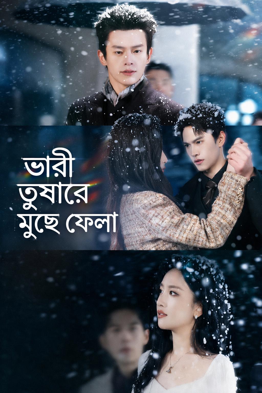 ভারী তুষারে মুছে ফেলা