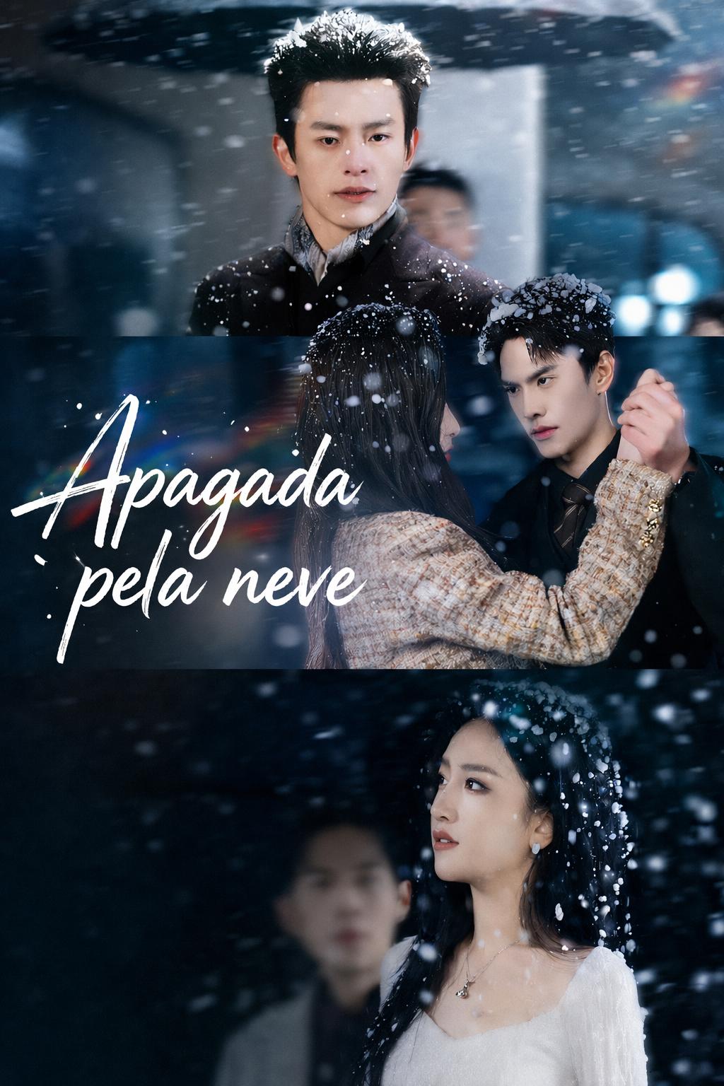 Apagado pela Neve
