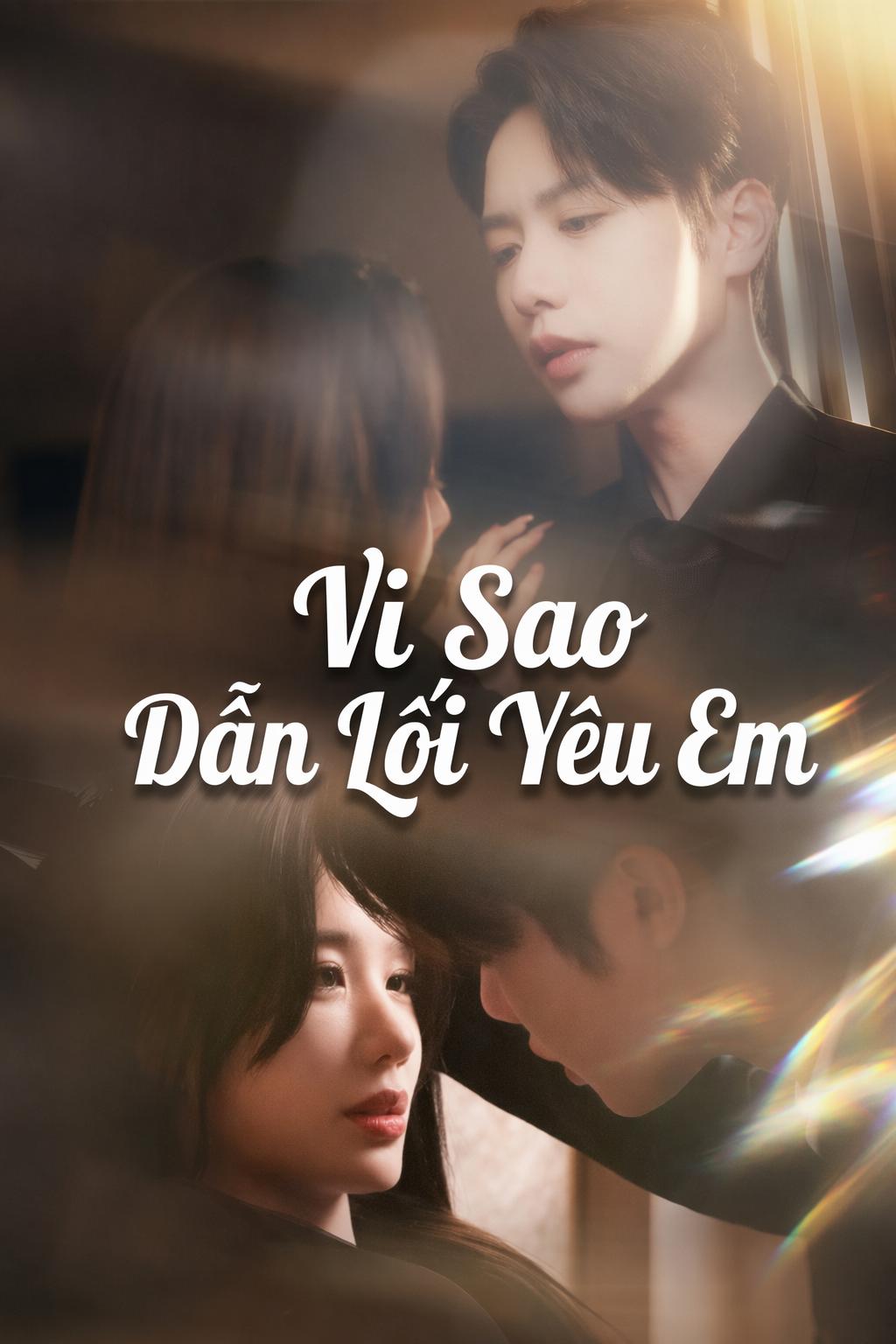 Vì Sao Dẫn Lối Yêu Em