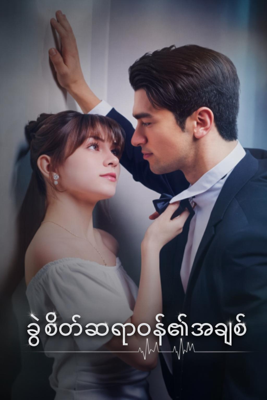 ခွဲစိတ်ဆရာဝန်၏အချစ်