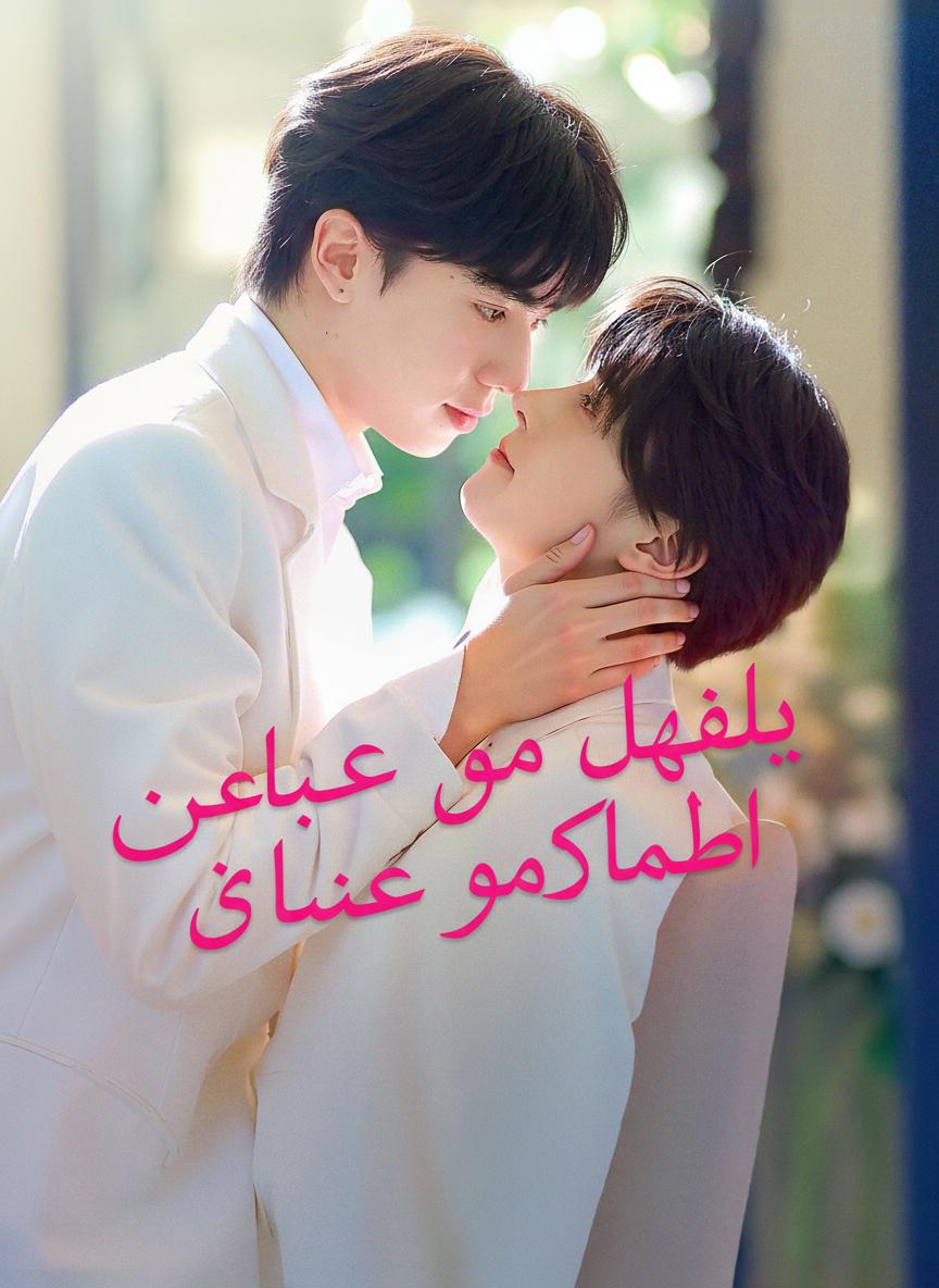 حبيبي هو الرئيس التنفيذي